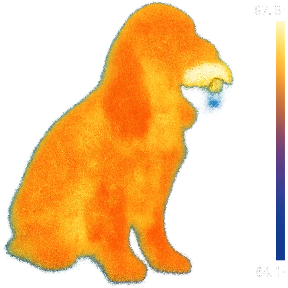 Russian Cocker Spaniel sitting with a Poké Ball in its mouth emoji