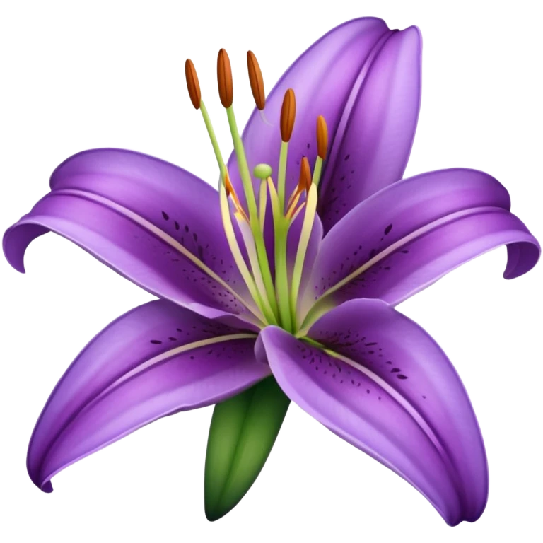 purple lily flower emoji