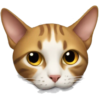 cat buried in paperwork emoji