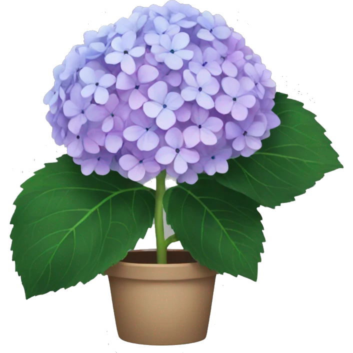 Hydrangea emoji