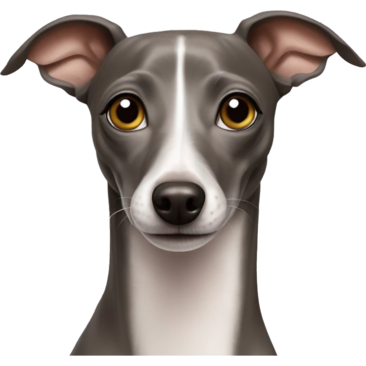 italian greyhound happy emoji