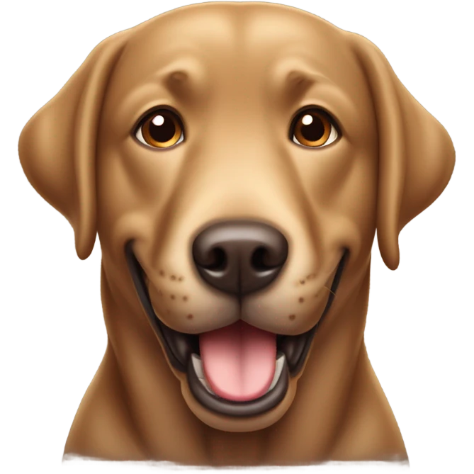 fat brown lab with brown eyes and mouth open emoji