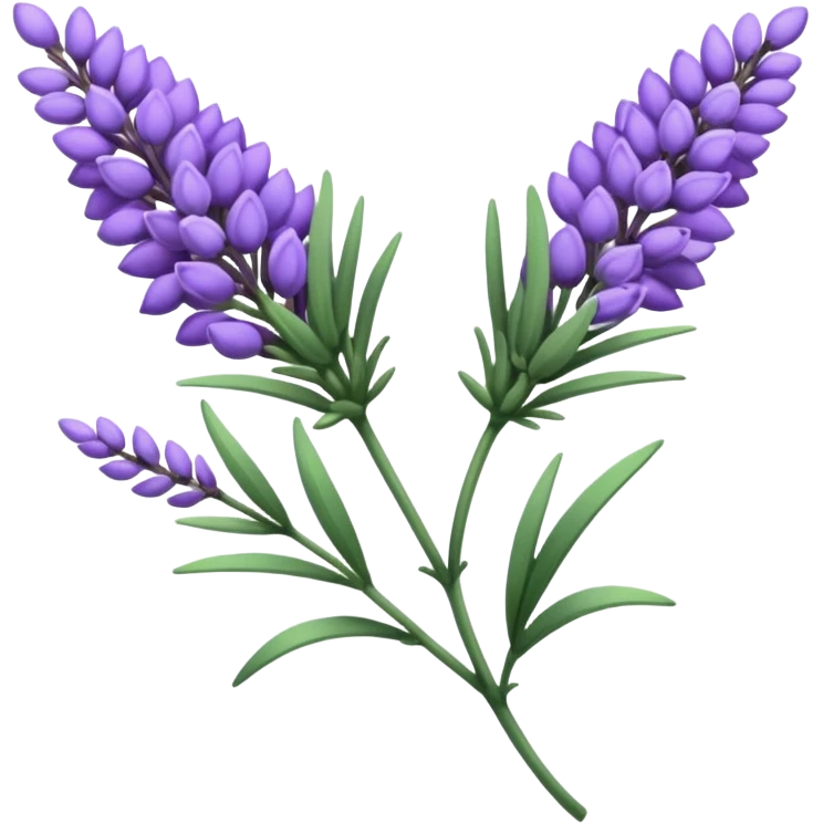 Lavender emoji