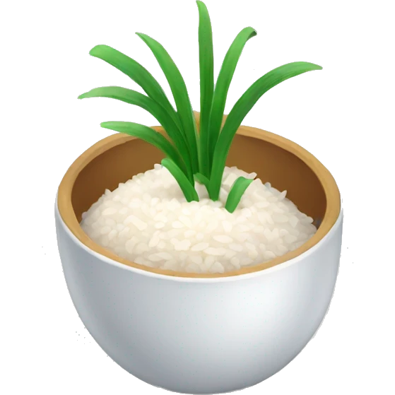 rice with water emoji