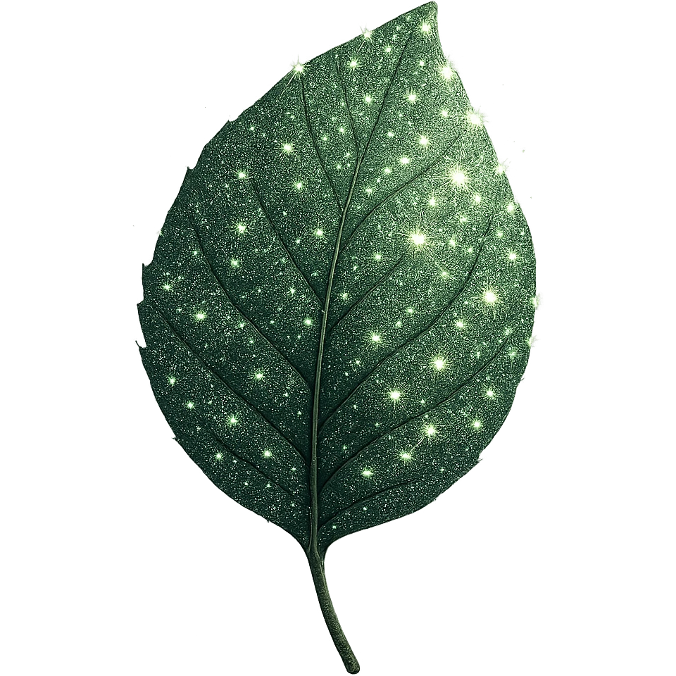 sparkly leaf emoji