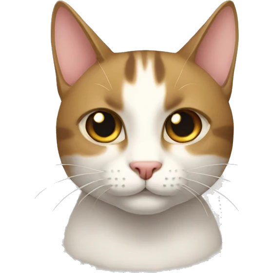 gato enojon emoji