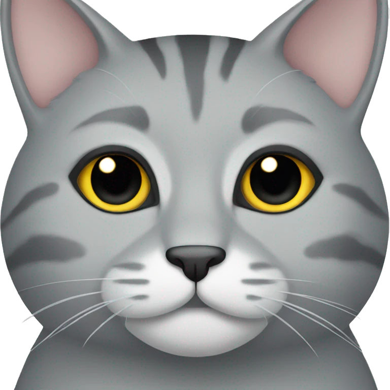 grey cat emoji