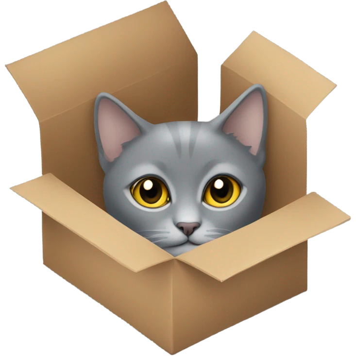 Hiding grey short hair cat in a box emoji