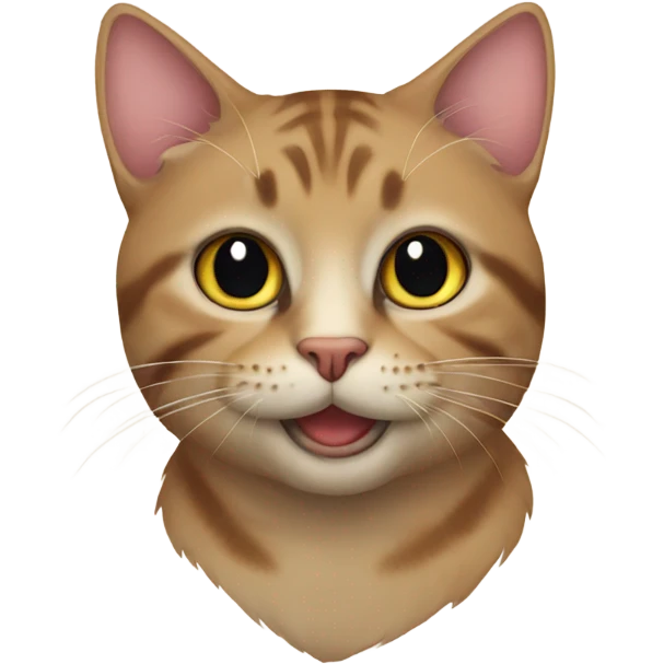 Cat love  emoji