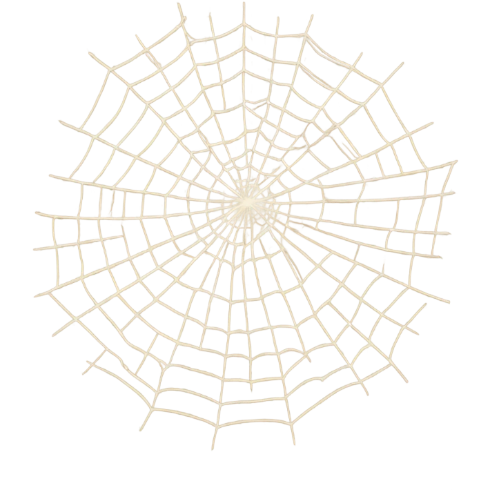 Beige spiderweb  emoji