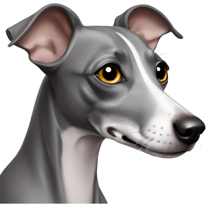 Gray Italian greyhound emoji