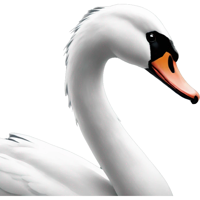 Swan black  emoji
