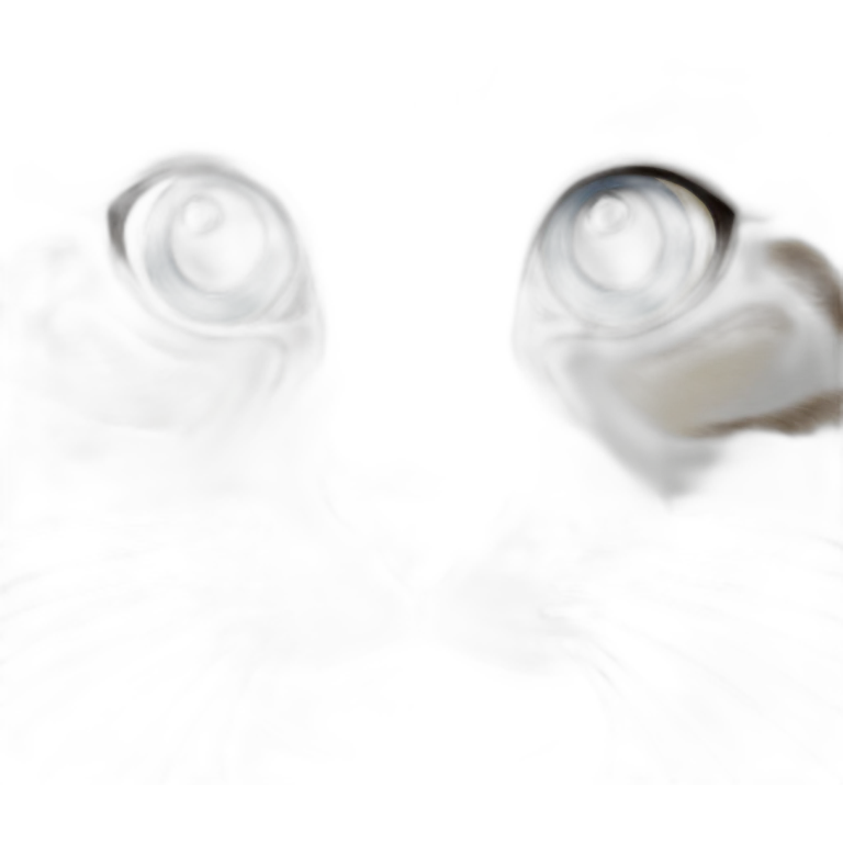 蓝黄眼睛的白猫 emoji