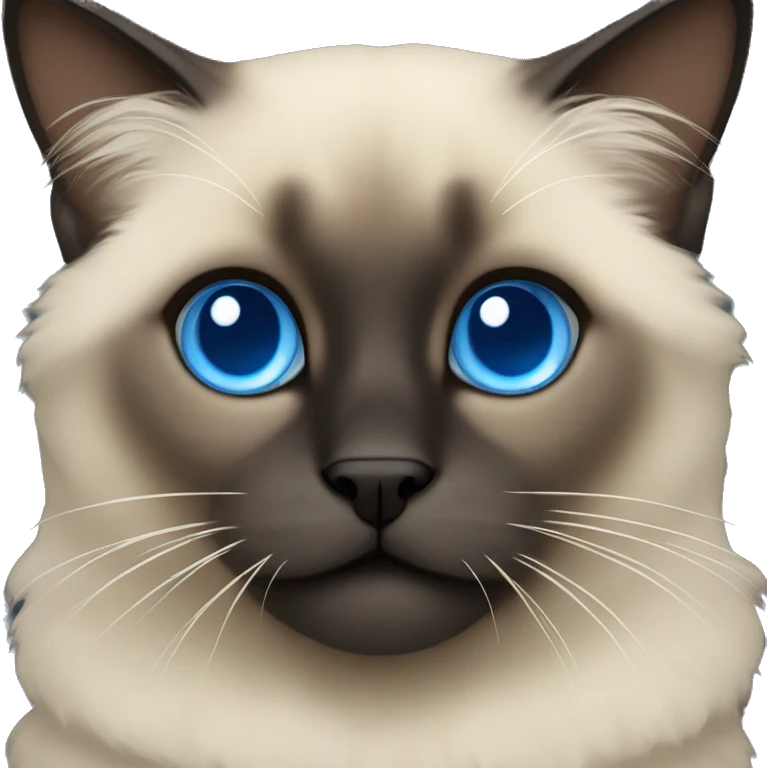 fluffy siamese dark face and blue eyes emoji