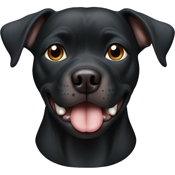 Black pitbull dog with one blue eye and one brown eye emoji