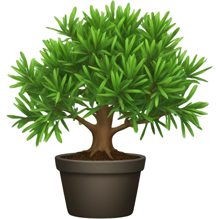 tea tree emoji