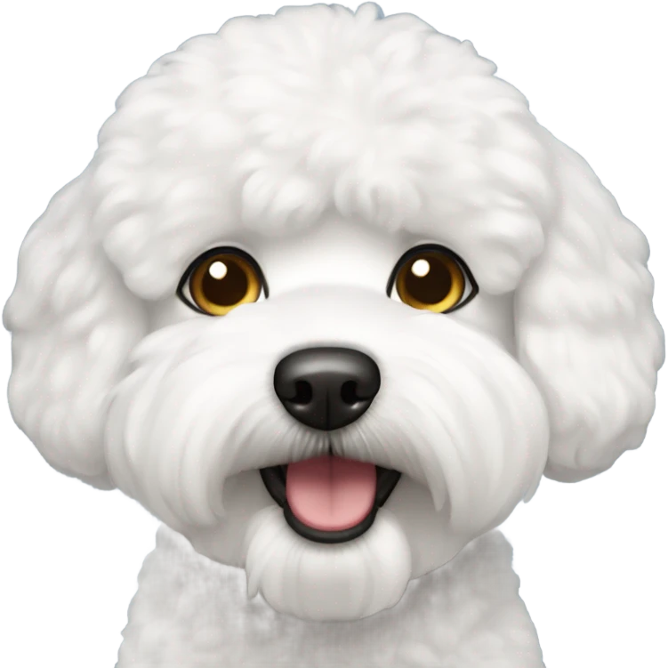 Bichon frise emoji