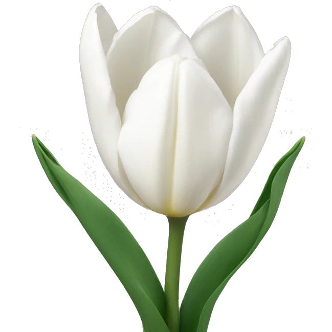 White tulips  emoji