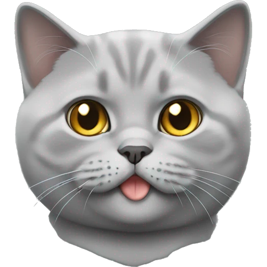 Light gray british shorthair cat emoji