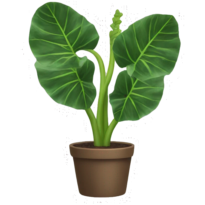 Alocasia plant emoji