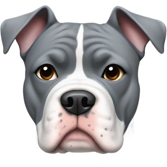 American Bully Dog That is grey with a white patch on chest wearing a sweater emoji