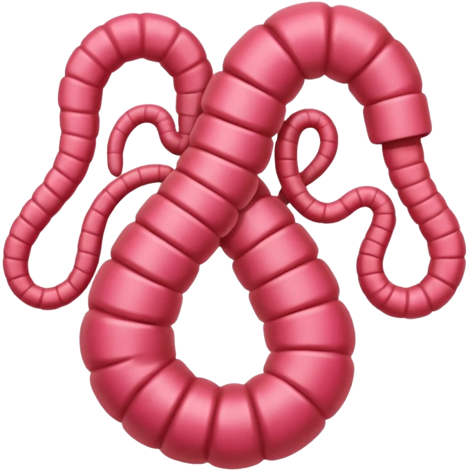 Intestines emoji