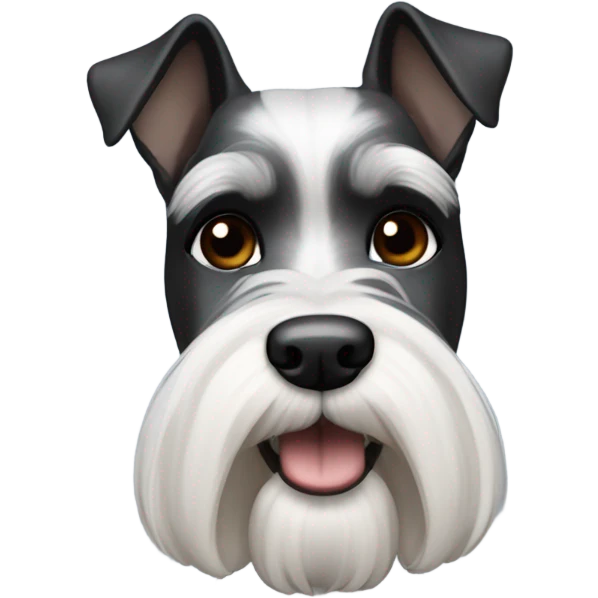 Miniature Schnauzer black and white with bald man emoji