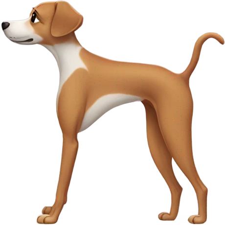Yoga with four legs emoji
