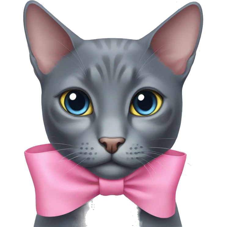 Russian blue cat with a pink bow emoji