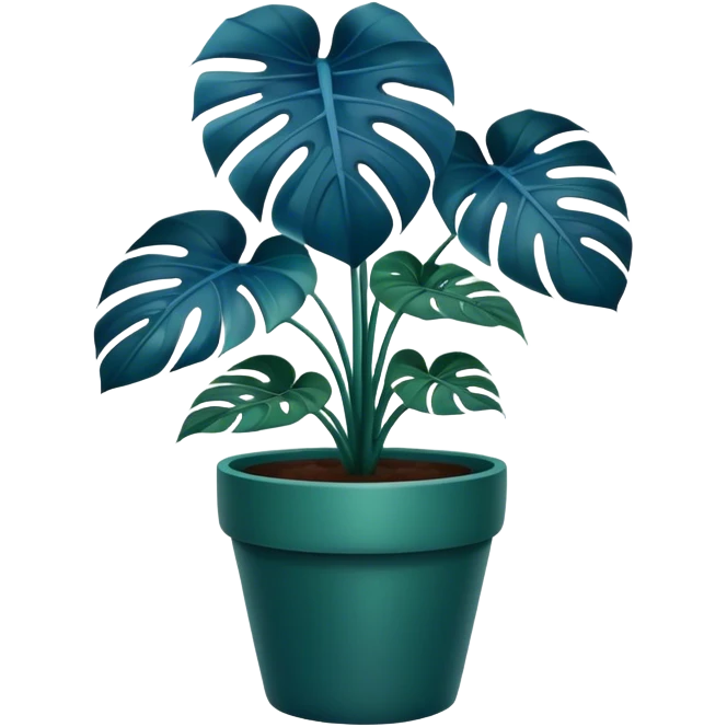 Blue Monstera flower in a deep green -colored pot  emoji