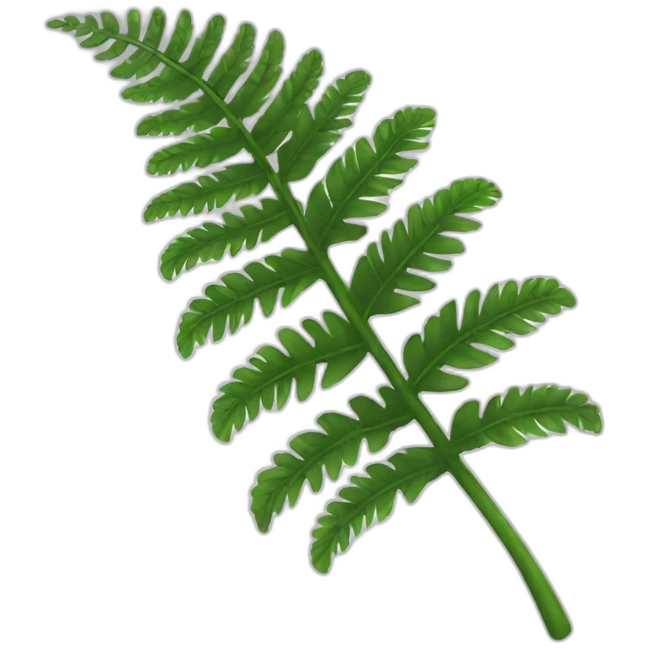 silver fern emoji