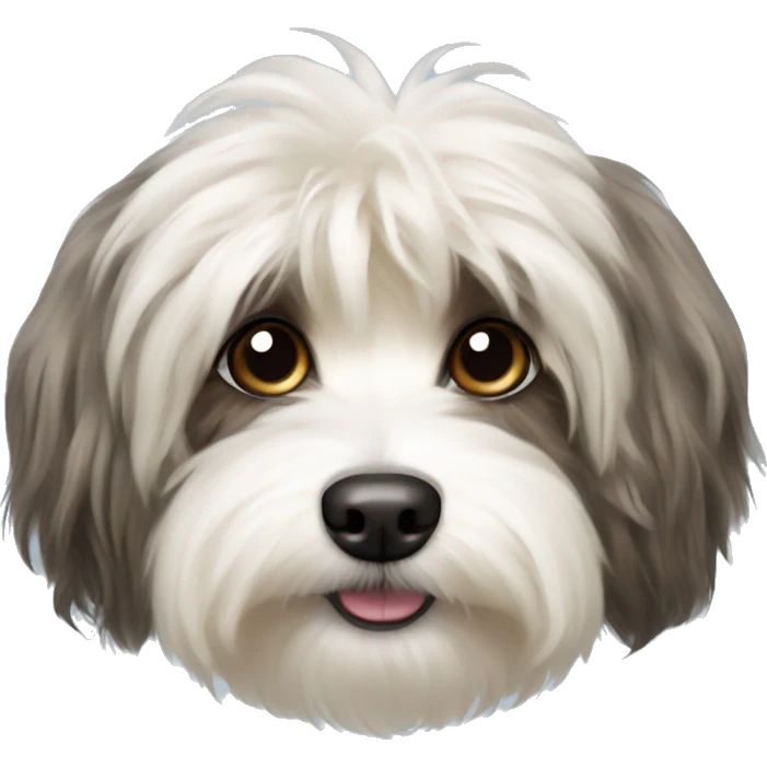 havanese silk dog emoji