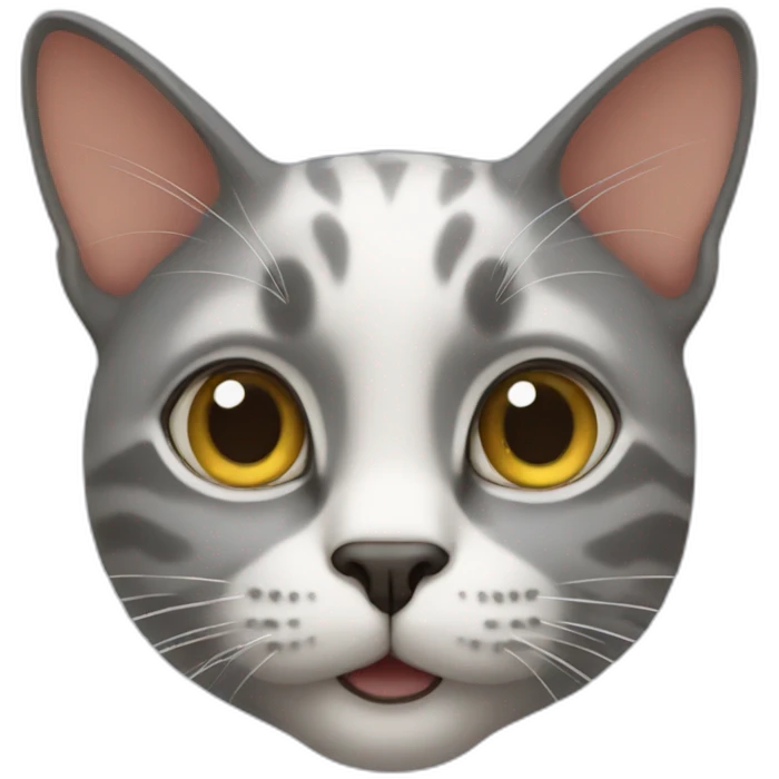 cat emoji