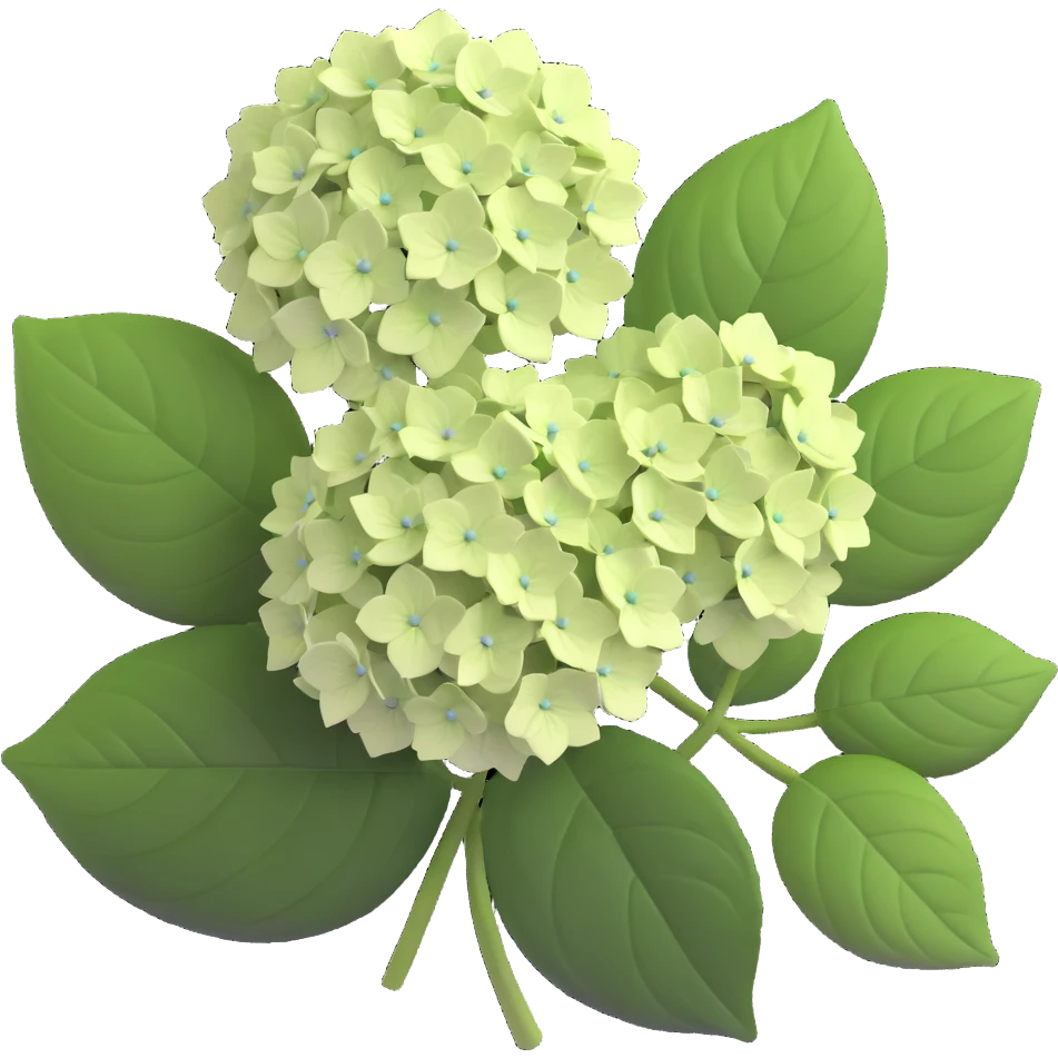 Charming hydrangea flower with kawaii style, soft rounded flower clusters in pretty pastel colors, and cute green leaves emoji