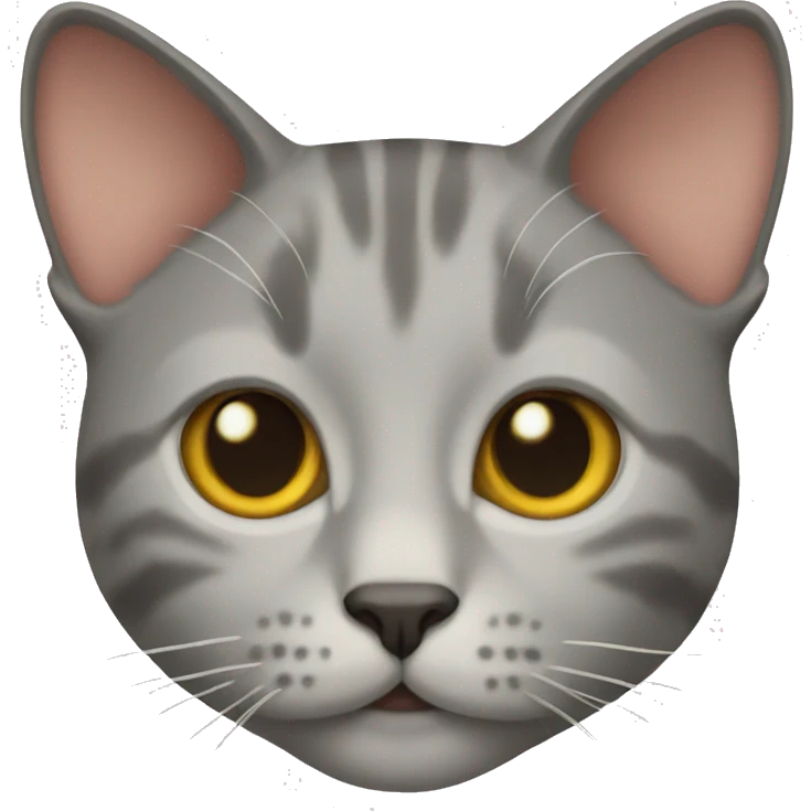 Cat emoji