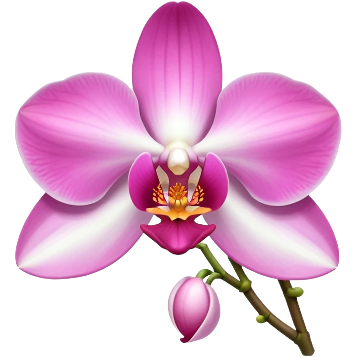 exquisite-phalaenopsis-moth-orchid-with-pure-white-petals-and-subtle-pink-center emoji