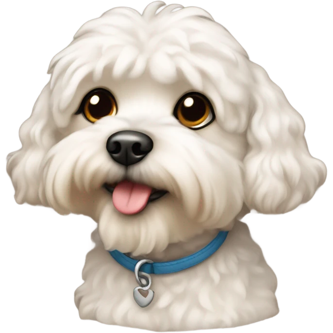 Shipoo dog emoji