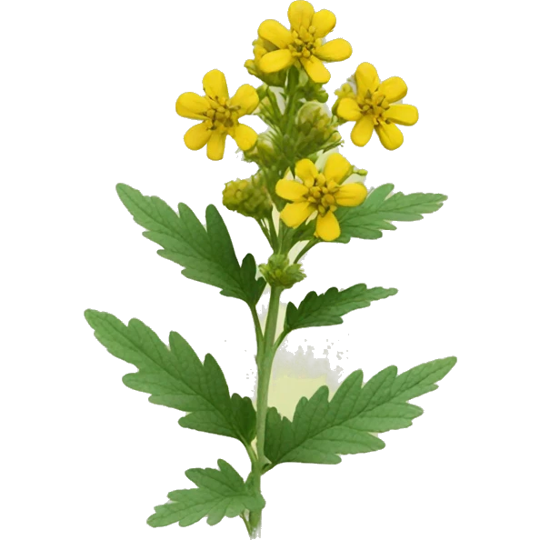 Agrimony emoji