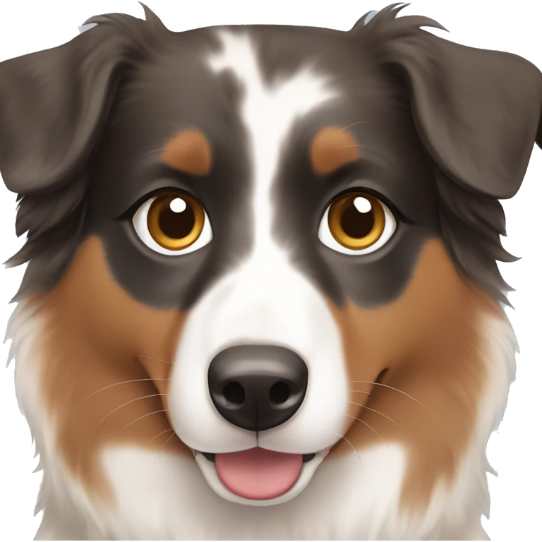 Australian shepherd with brown and blue eyes  emoji
