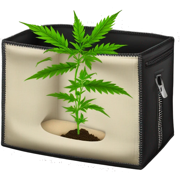 black grow box with zipper and hemp plant inside emoji