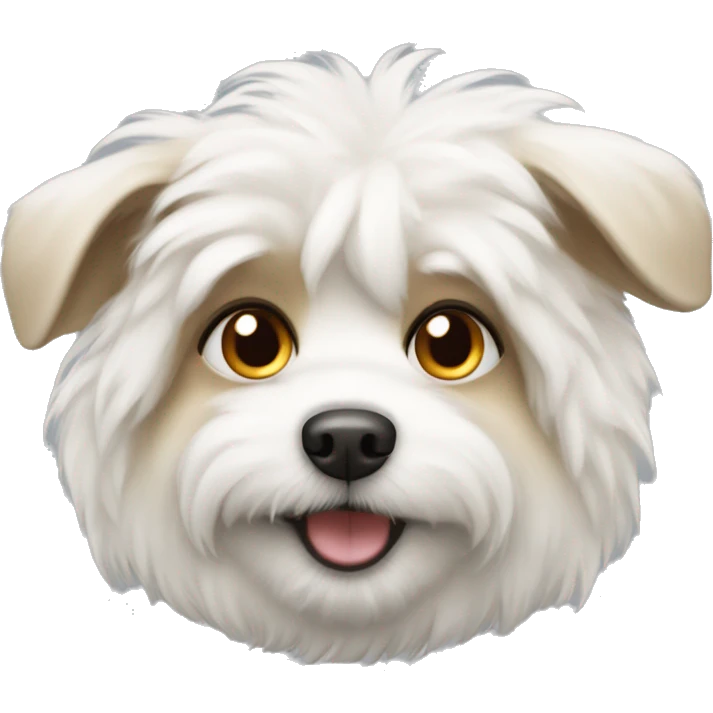 Fluffy white dog named biscuit emoji