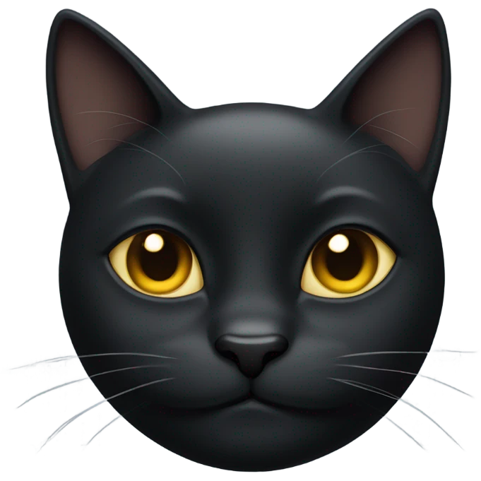 black cat smirking  emoji