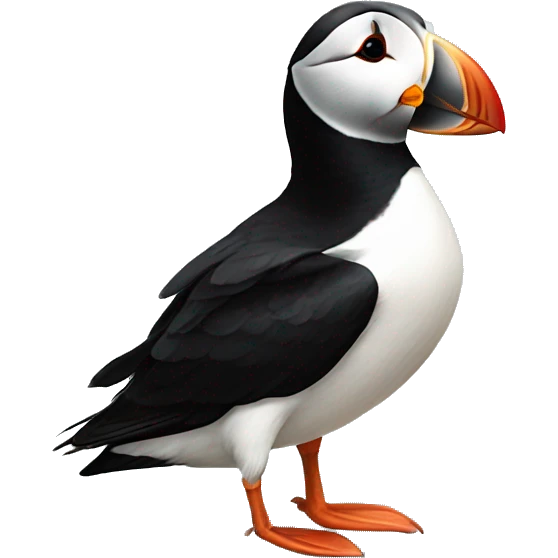 puffin emoji