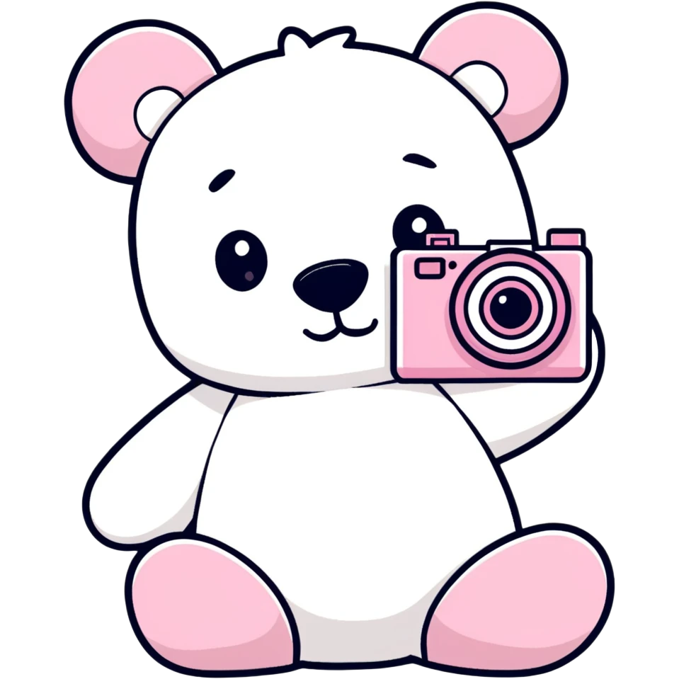 White Teddy bear with a pink camera emoji