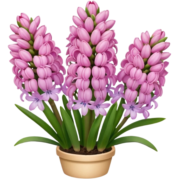 Pink hyacinth emoji