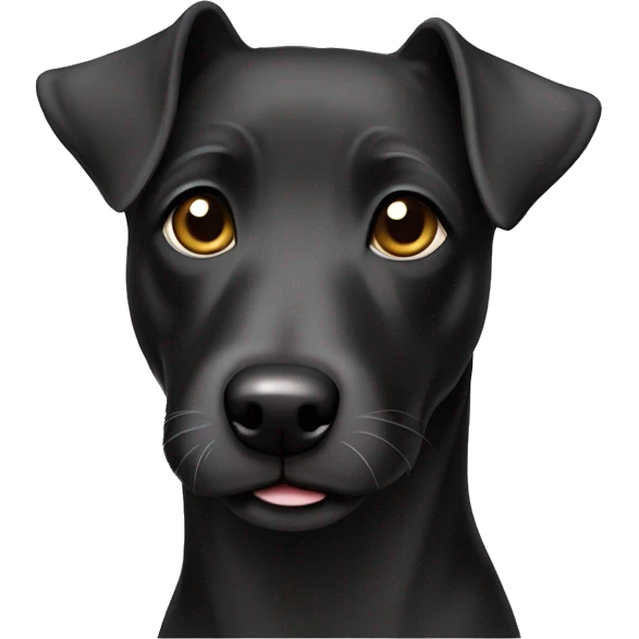 Patterdale terrier emoji