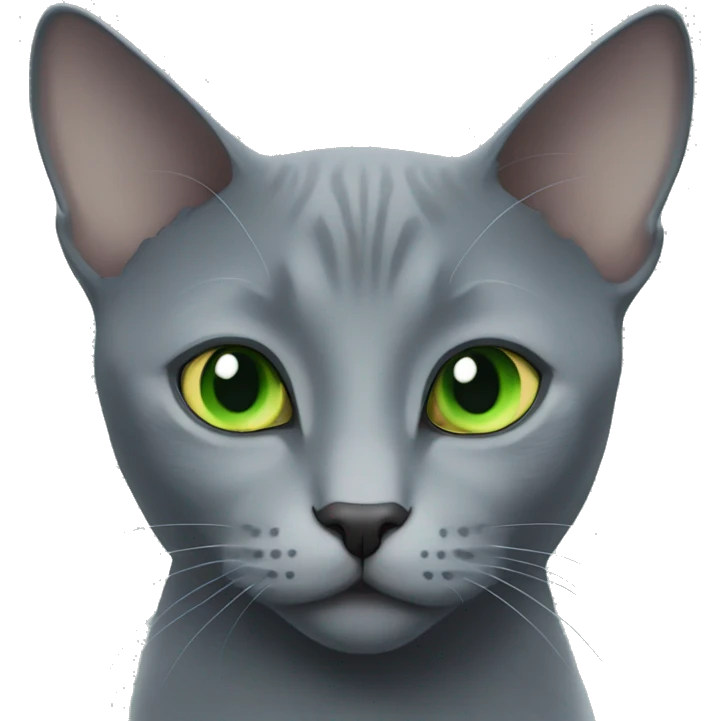 russian blue cat light green eyes  emoji
