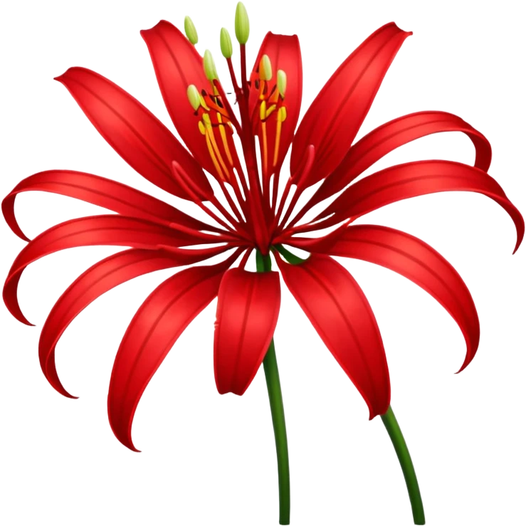 Red spider Lily flower emoji