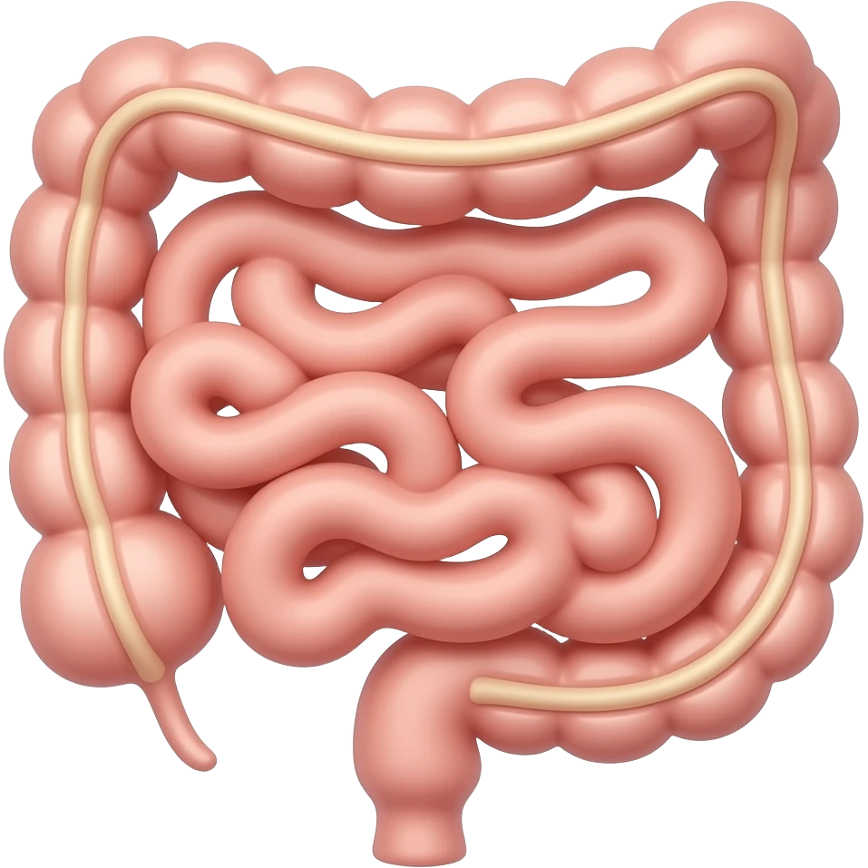 pieghe dell intestino emoji