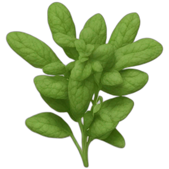 Oregano emoji